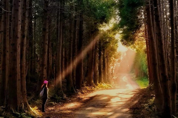 HIKING XL (Full Day Private Tour)