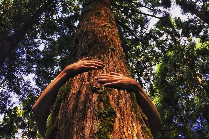 HIKING XL (Full Day Private Tour)