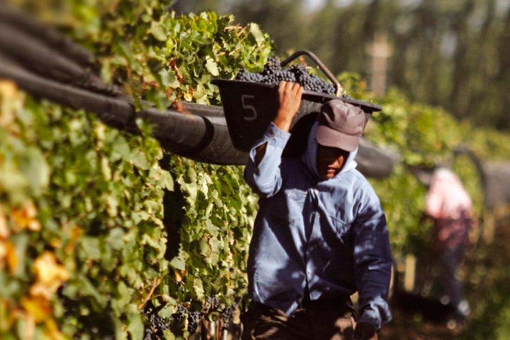 South Wine Route