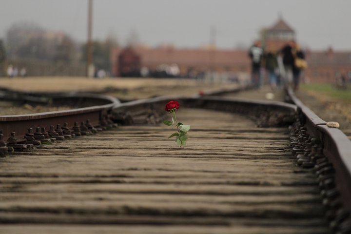 Auschwitz-Birkenau Tour from Wrocław