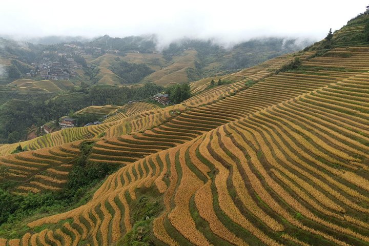 Guilin Reed Flute Cave and Longji Rice Terraces Private Day Tour