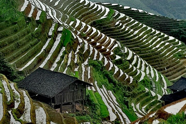 Guilin Reed Flute Cave and Longji Rice Terraces Private Day Tour