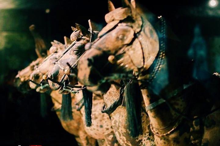 Private Half-Day Tour of Xi'an Terracotta Warriors