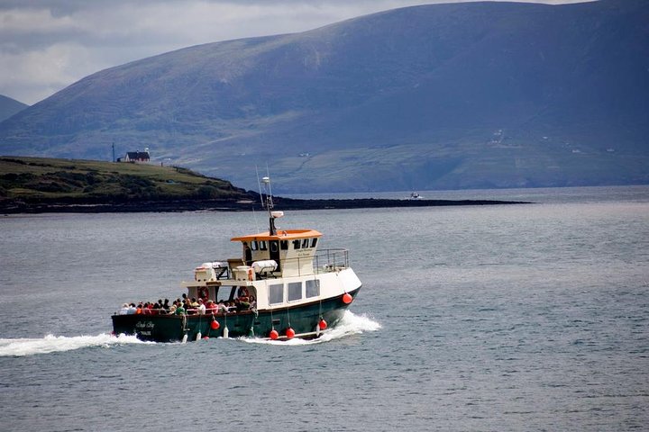 Dingle Peninsula Day Tour from Cork: Including The Wild Altanic Way