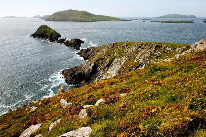 Dingle Peninsula Day Tour from Cork: Including The Wild Altanic Way