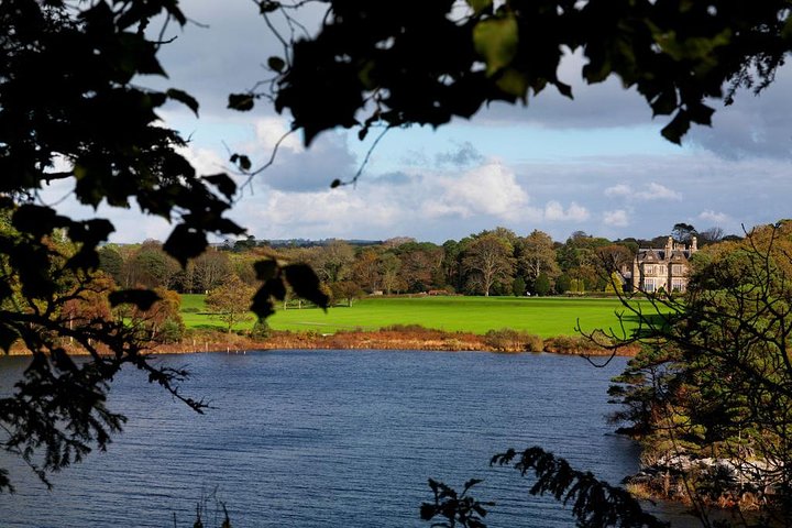 Ring of Kerry Day Tour from Limerick: Including Killarney National Park