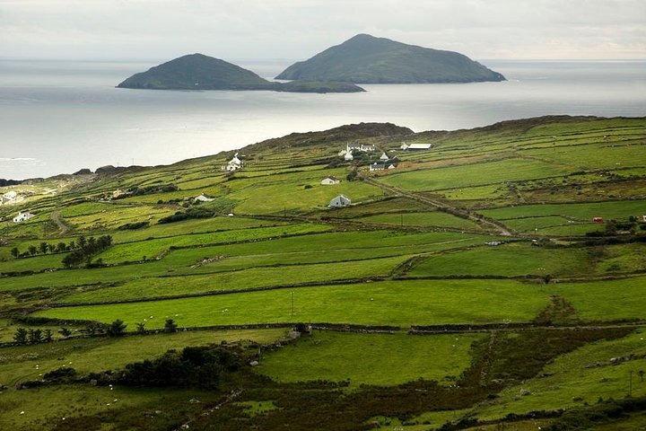 Ring of Kerry Day Tour from Limerick: Including Killarney National Park
