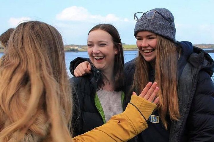 Ring of Kerry Day Tour from Limerick: Including Killarney National Park