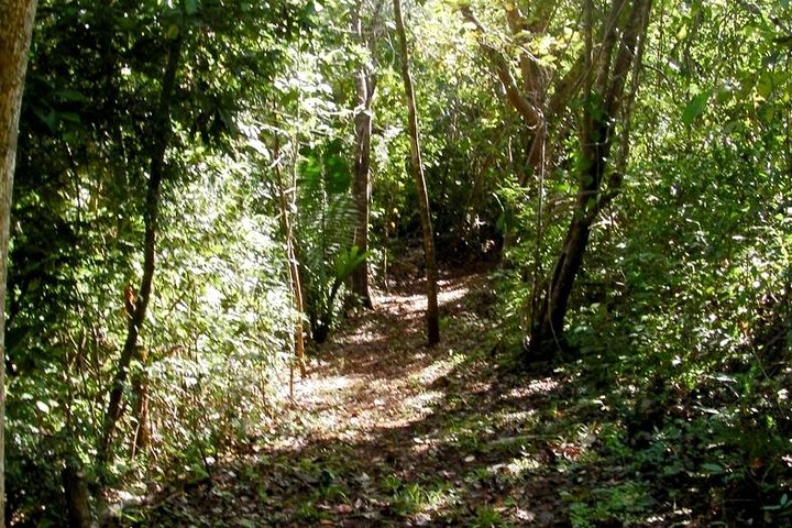 Samara Trails in Werner Sauter Biological Reserve