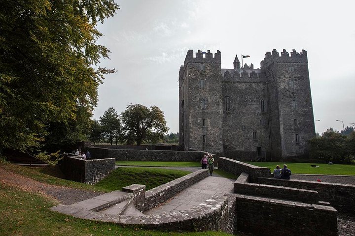 Cliffs of Moher Day Tour from Limerick: Wild Atlantic Way