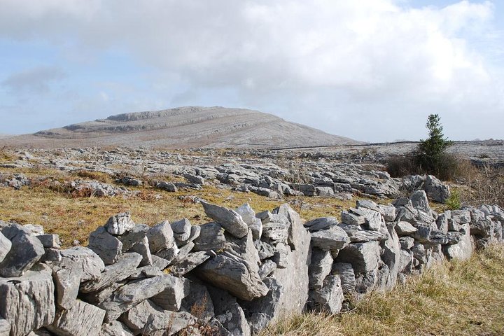 Cliffs of Moher Day Tour from Cork: Including Wild Atlantic Way