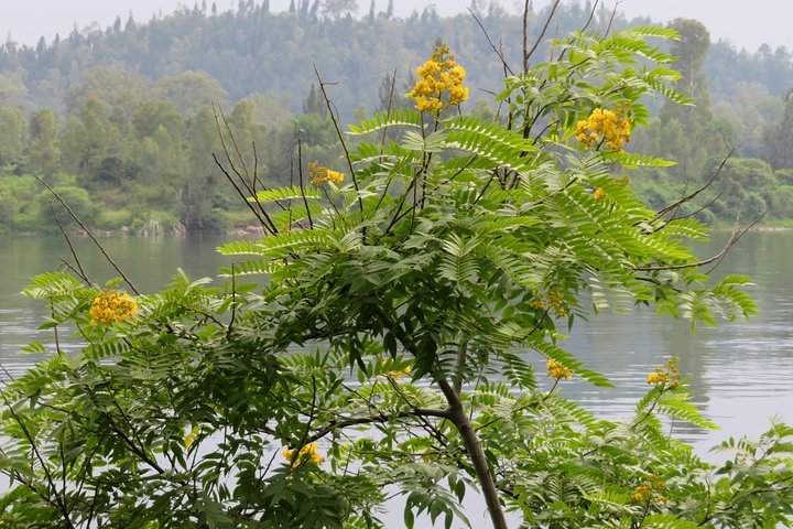 Boat excursion on the Lake Kivu, Rwanda