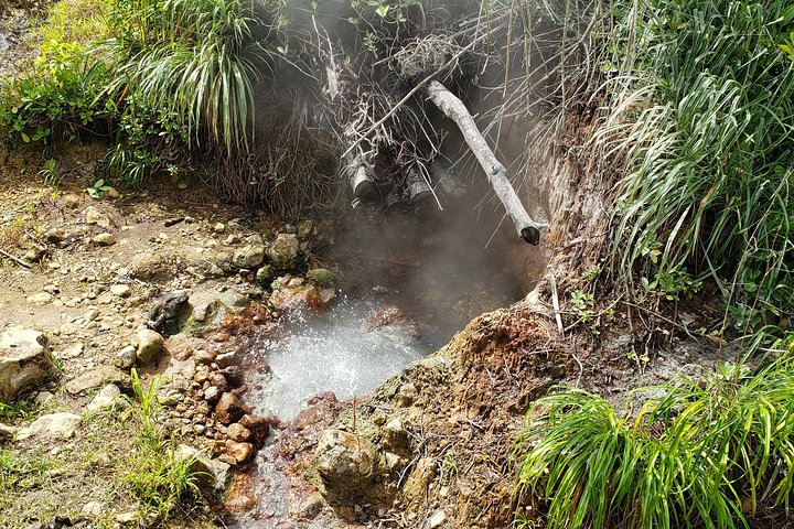 City Tour with Botanical Gardens, Trafalgar Falls & Morne Bruce