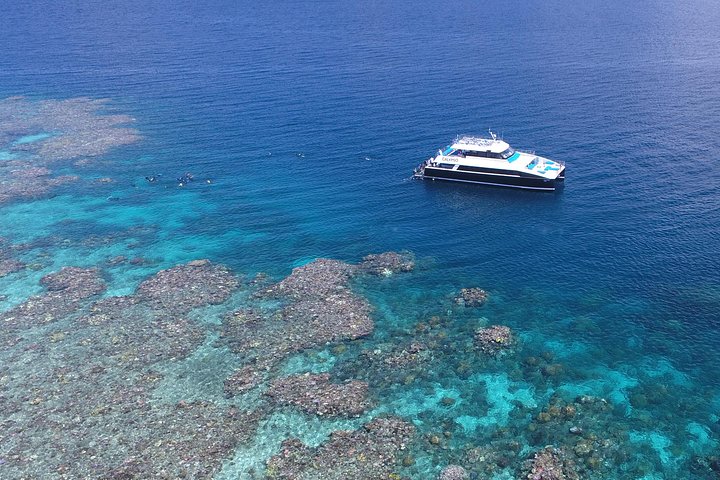 Calypso Outer Great Barrier Reef Cruise from Port Douglas