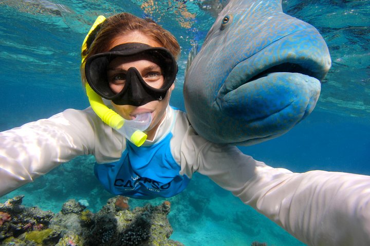 Calypso Outer Great Barrier Reef Cruise from Port Douglas