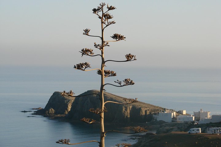 Cabo de Gata Natural Park from Roquetas, Aguadulce & Almeria