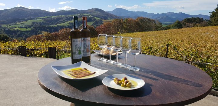 Getaria Txakoli wine tour from San Sebastian