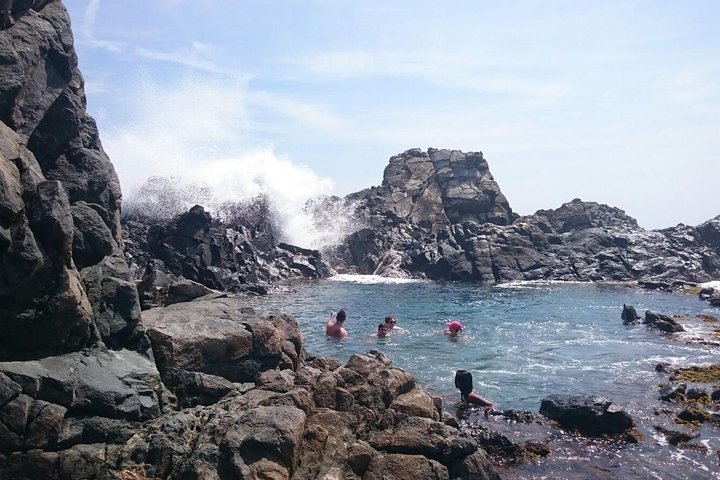 Horseback Ride Tour to Natural Pool in Arikok National Park