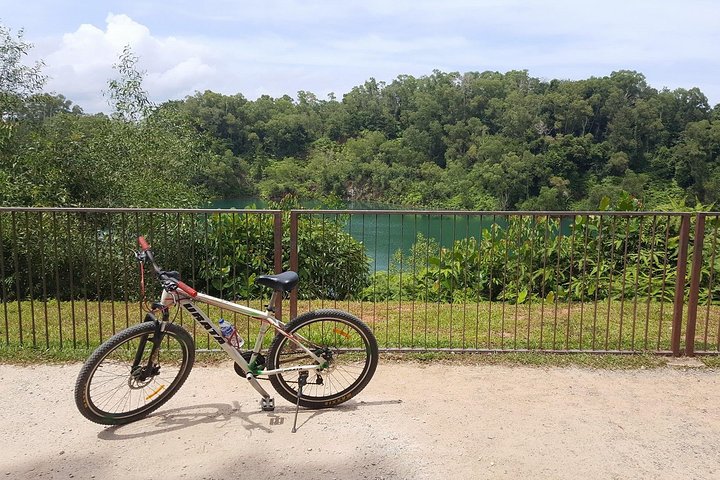 4 Hours Cycling in the Nature at Pulau Ubin Singapore