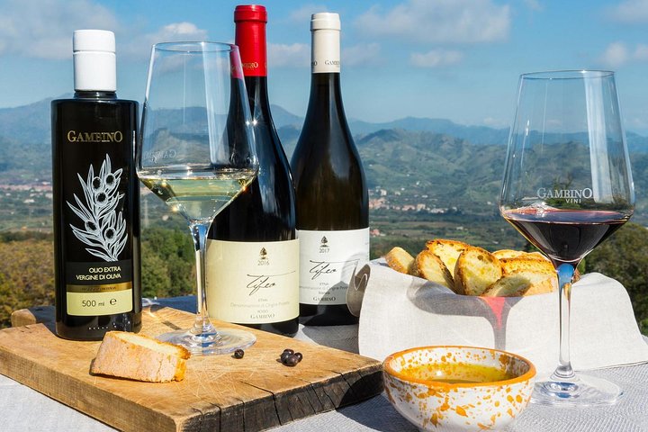 Private 6-Hour Tour of Three Etna Wineries with food&wine tasting