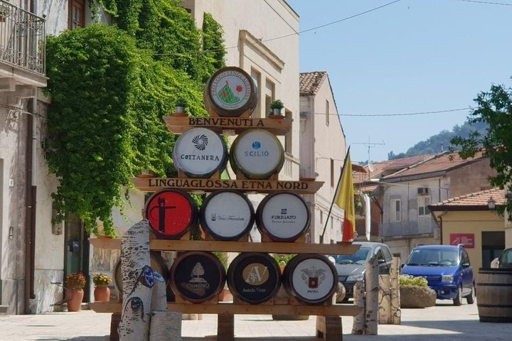 Private 6-Hour Tour of Three Etna Wineries with food&wine tasting