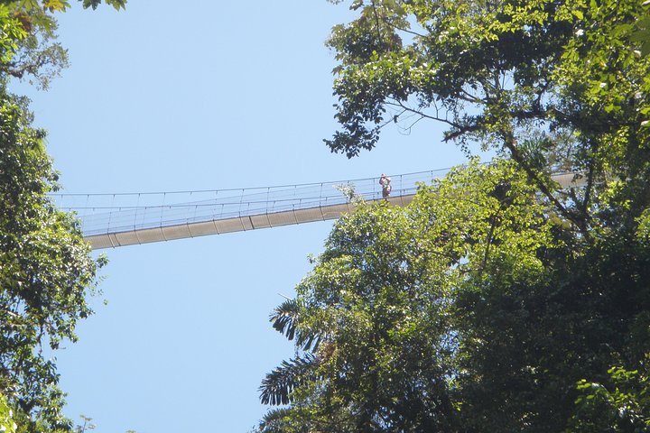 La Fortuna Waterfall, Hanging Bridges, Arenal Volcano Combo Tour