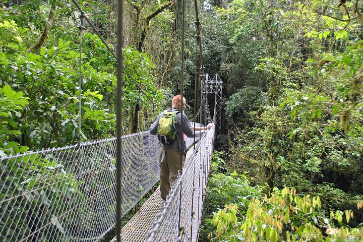 La Fortuna Waterfall, Hanging Bridges, Arenal Volcano Combo Tour