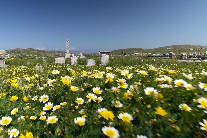 Half-Day Delos Tour from Mykonos