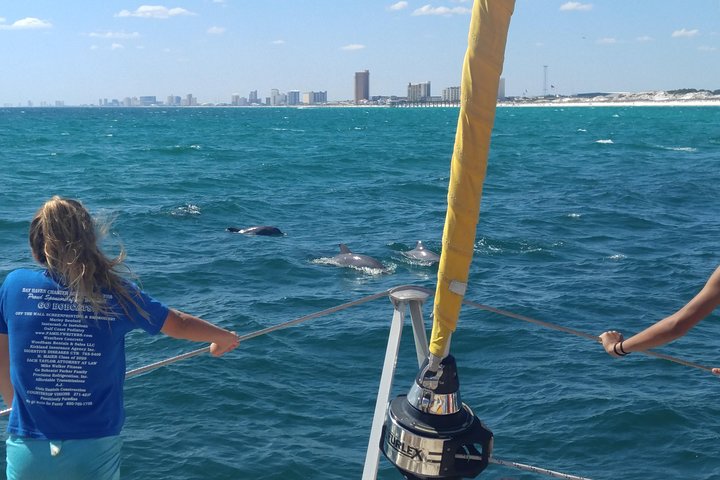 Snorkel & Dolphin Sightseeing Tour Aboard the Footloose