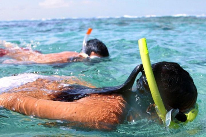 Shell Island Inflatable Adventure Park & Dolphin Sightseeing Tour