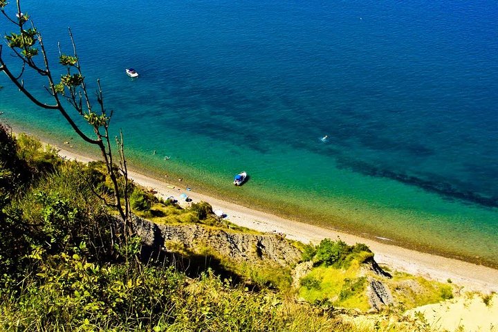 Piran and Scenic Slovenian Coast - Private Tour from Trieste