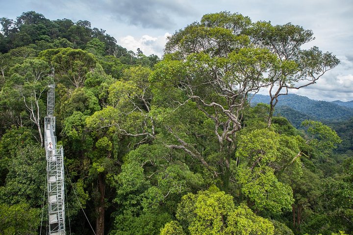 Full Day Trip of Brunei Ulu Temburong National Park including Canopy Walk