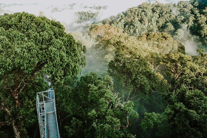 Full Day Trip of Brunei Ulu Temburong National Park including Canopy Walk