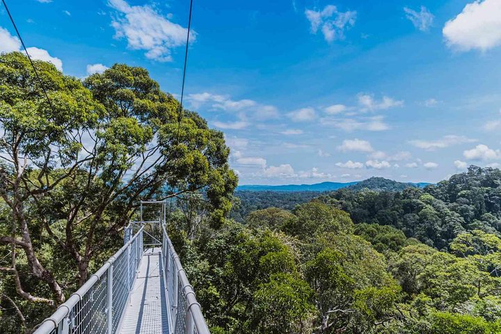 Full Day Trip of Brunei Ulu Temburong National Park including Canopy Walk
