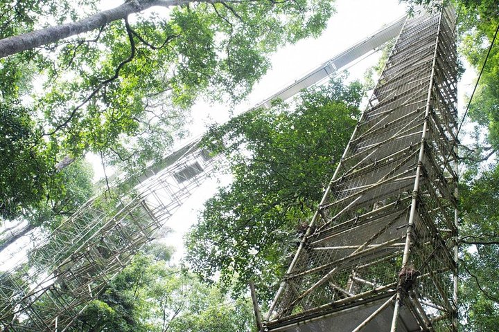 Full Day Trip of Brunei Ulu Temburong National Park including Canopy Walk