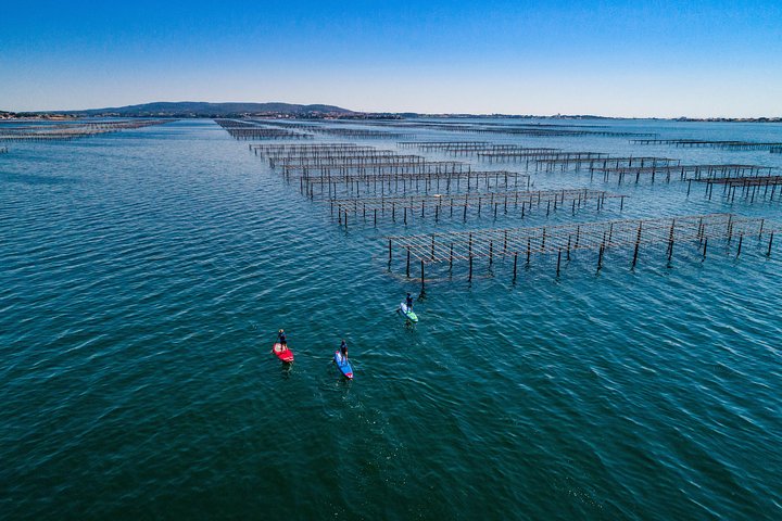 Stand-up-paddle on Laguna of Thau, rental, Sete