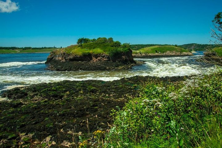 New Brunswick Shore Excursion: Bay of Fundy and More Highlights Tour