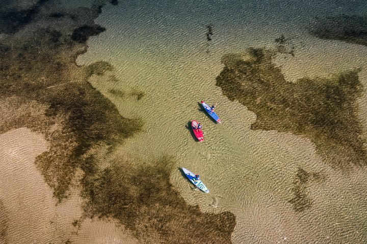 Stand-up-paddle on Laguna of Thau, rental, Sete