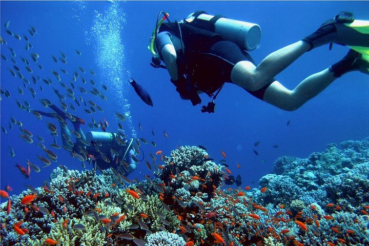 Coron Island Tour B (Shared Tour)