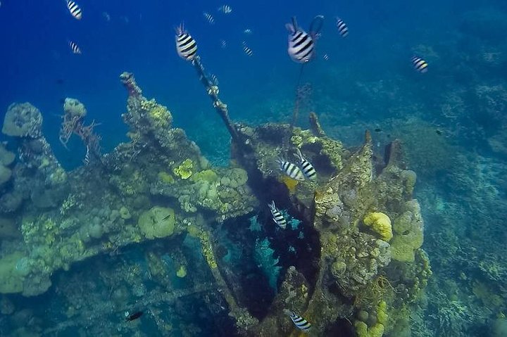 Coron Island Tour B (Shared Tour)