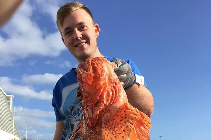 Fish In the Azores