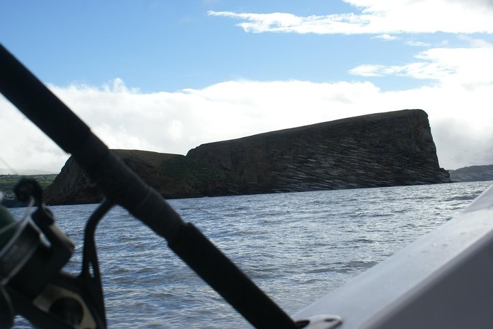 Fish In the Azores