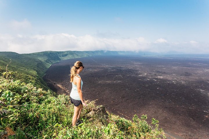 Sierra Negra Volcano Walking Tour in Isabela Island (shared)