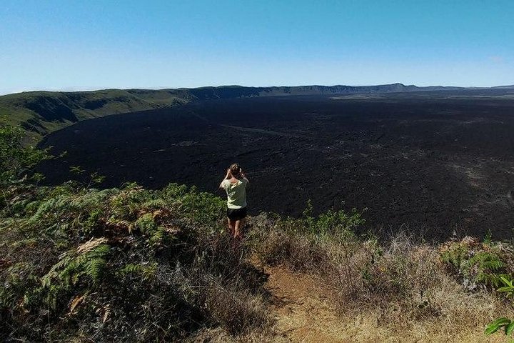 Sierra Negra Volcano Walking Tour in Isabela Island (shared)