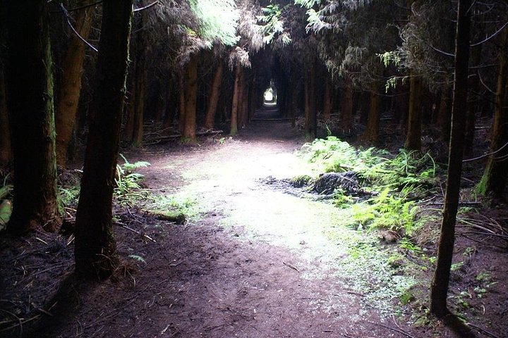 Cave Tour in Terceira