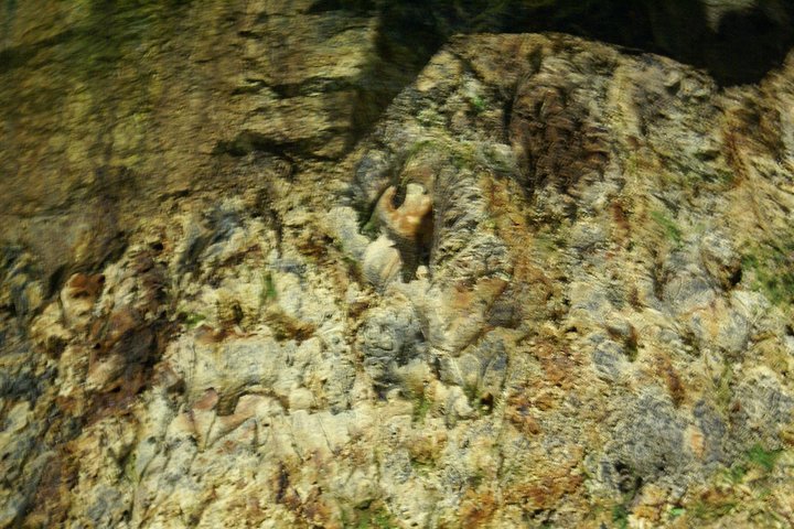 Cave Tour in Terceira