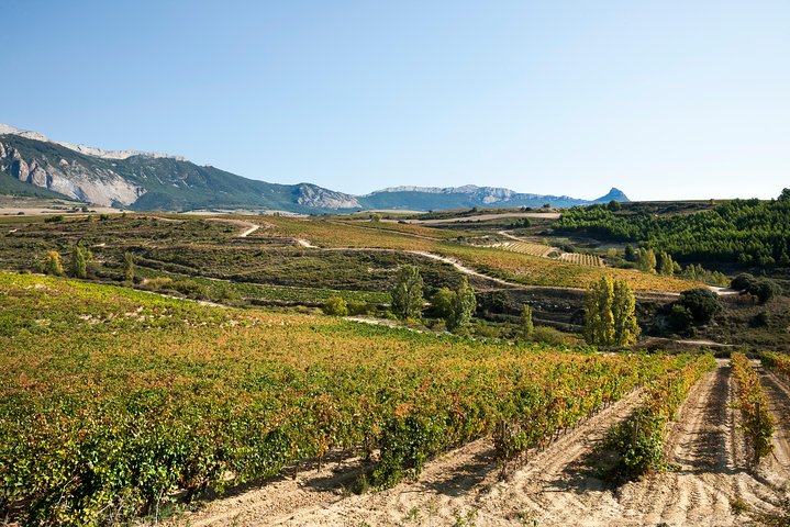La Rioja wines and Laguardia tour from San Sebastian