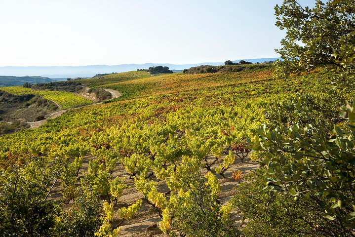 La Rioja wines and Laguardia tour from San Sebastian