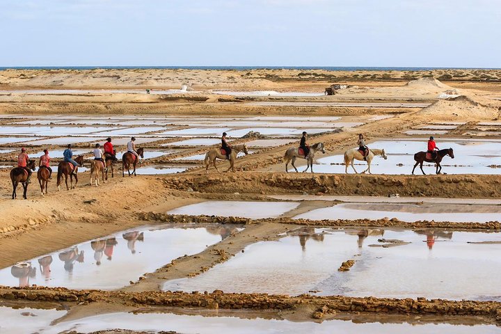 Horse Riding in Sal Island - Cabo Verde