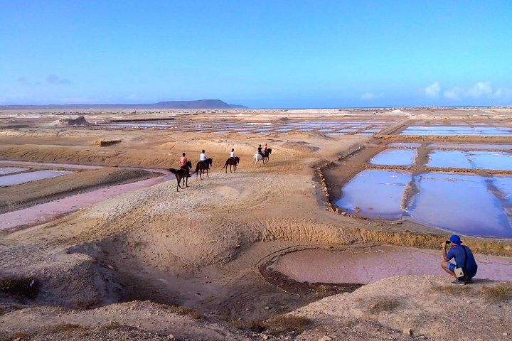 Horse Riding in Sal Island - Cabo Verde